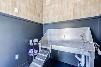 Pet spa washing station